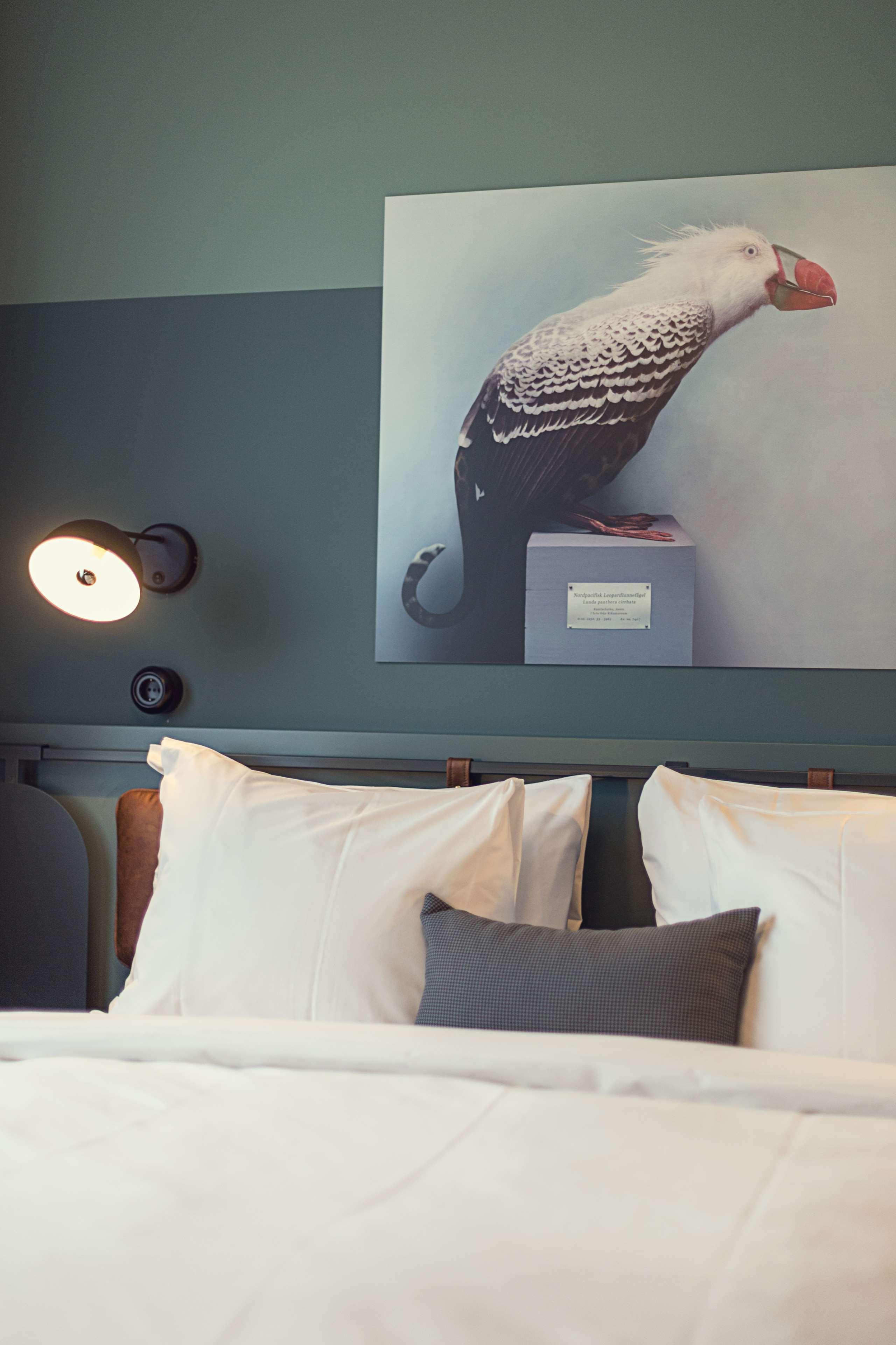 Best Western Plus Fort Worth Forest Hill Inn & Suites Luaran gambar