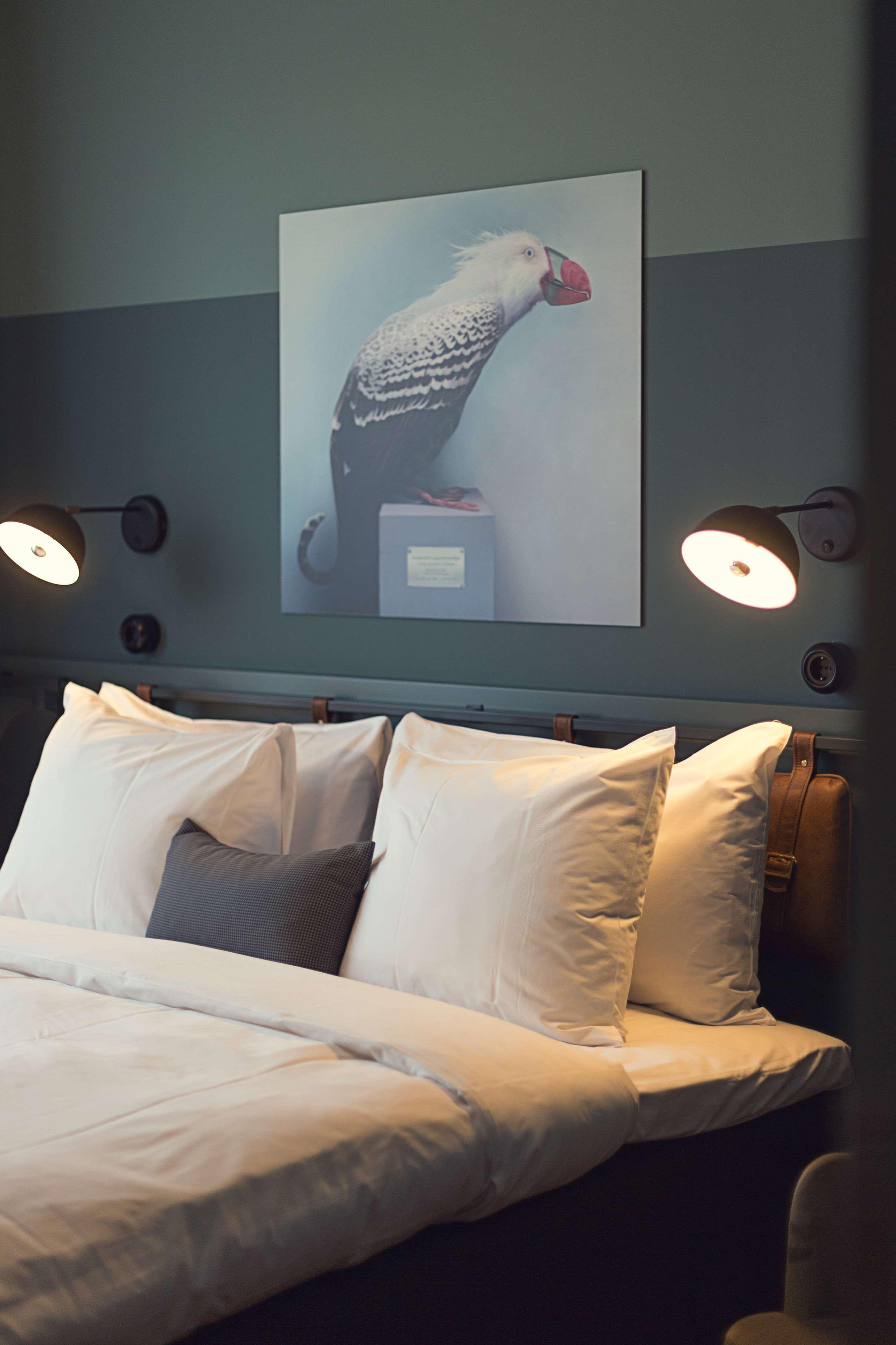 Best Western Plus Fort Worth Forest Hill Inn & Suites Luaran gambar