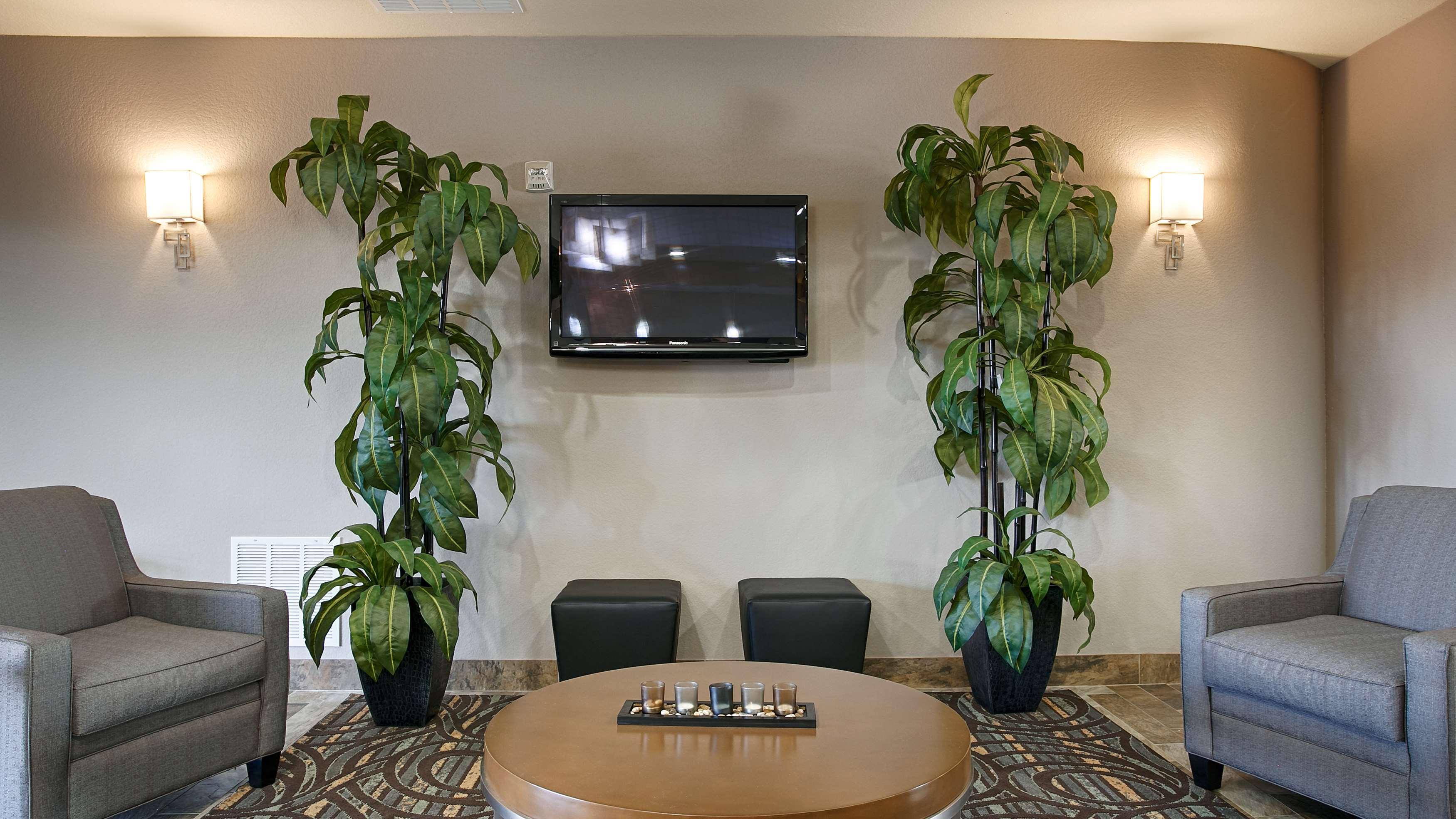 Best Western Plus Fort Worth Forest Hill Inn & Suites Luaran gambar